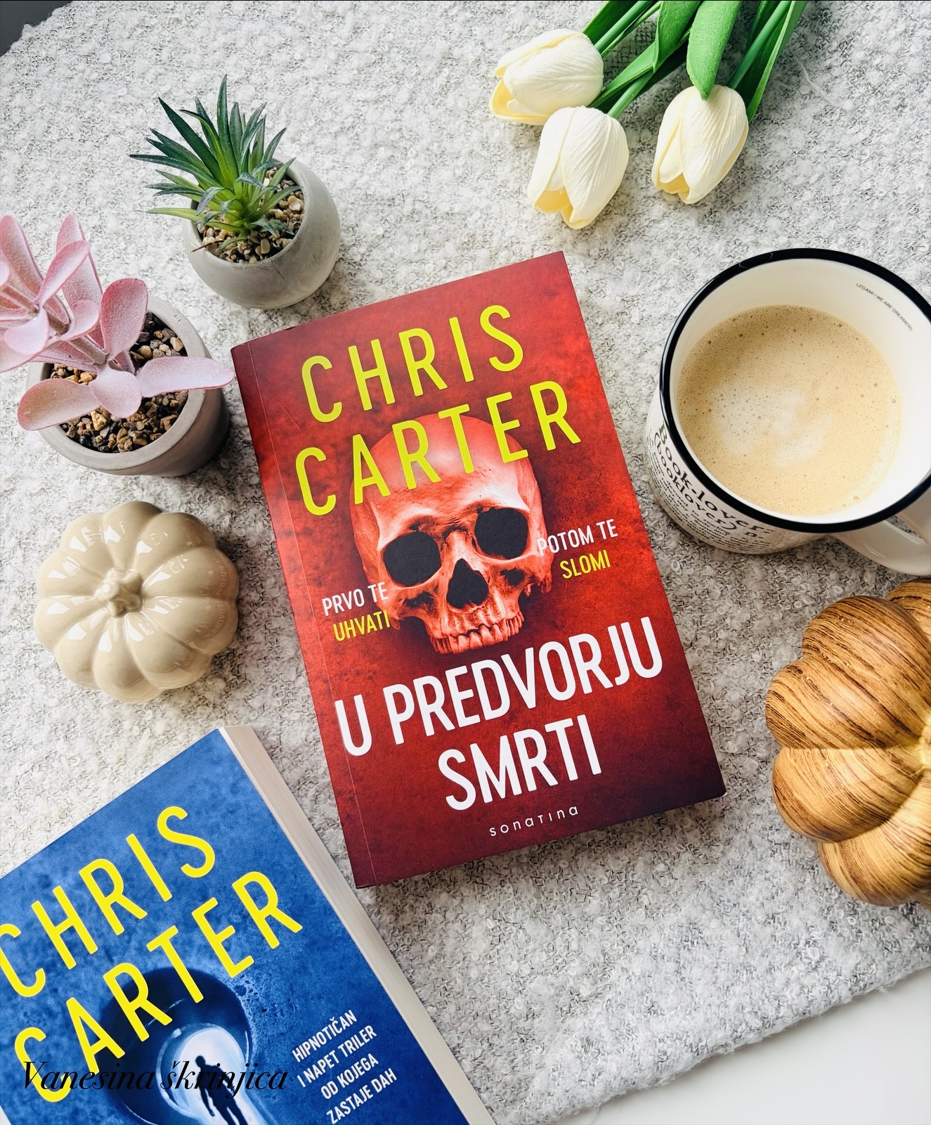 U PREDVORJU SMRTI (CHRIS CARTER)