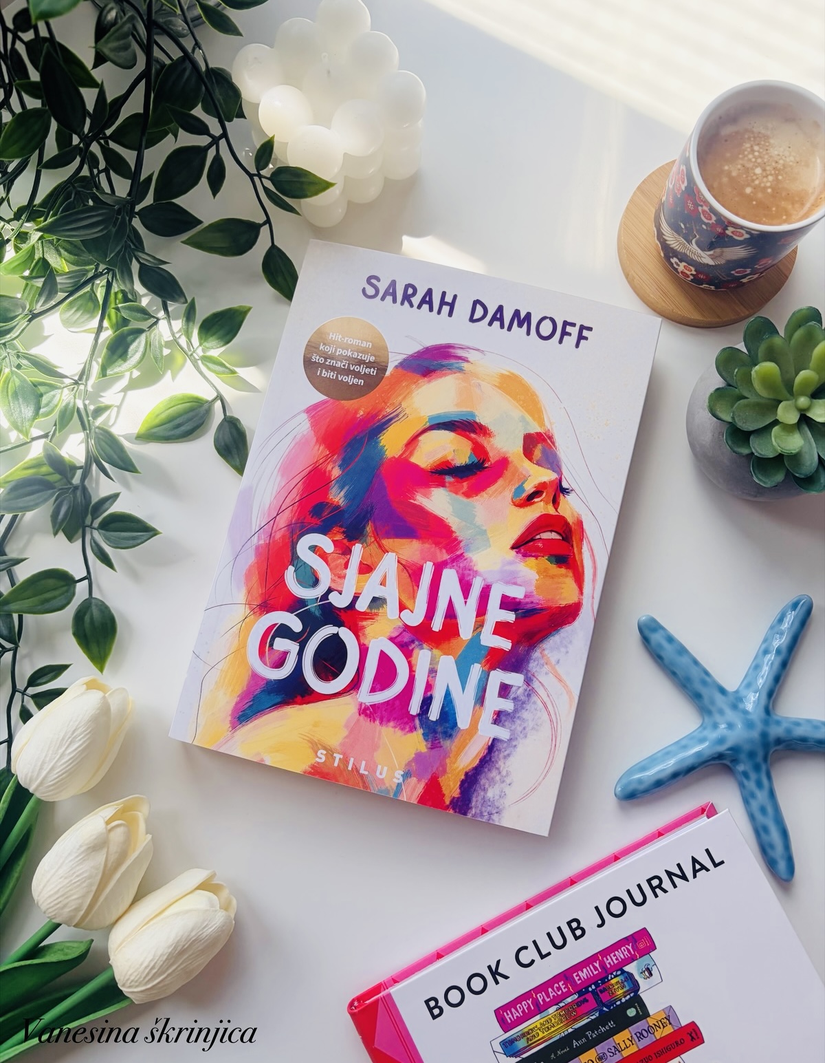 SJAJNE GODINE (SARAH DAMOFF)